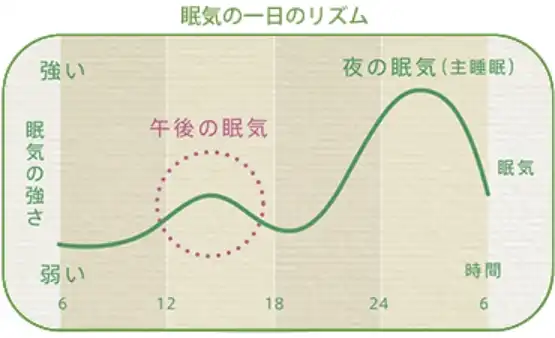 眠気の1日のリズム